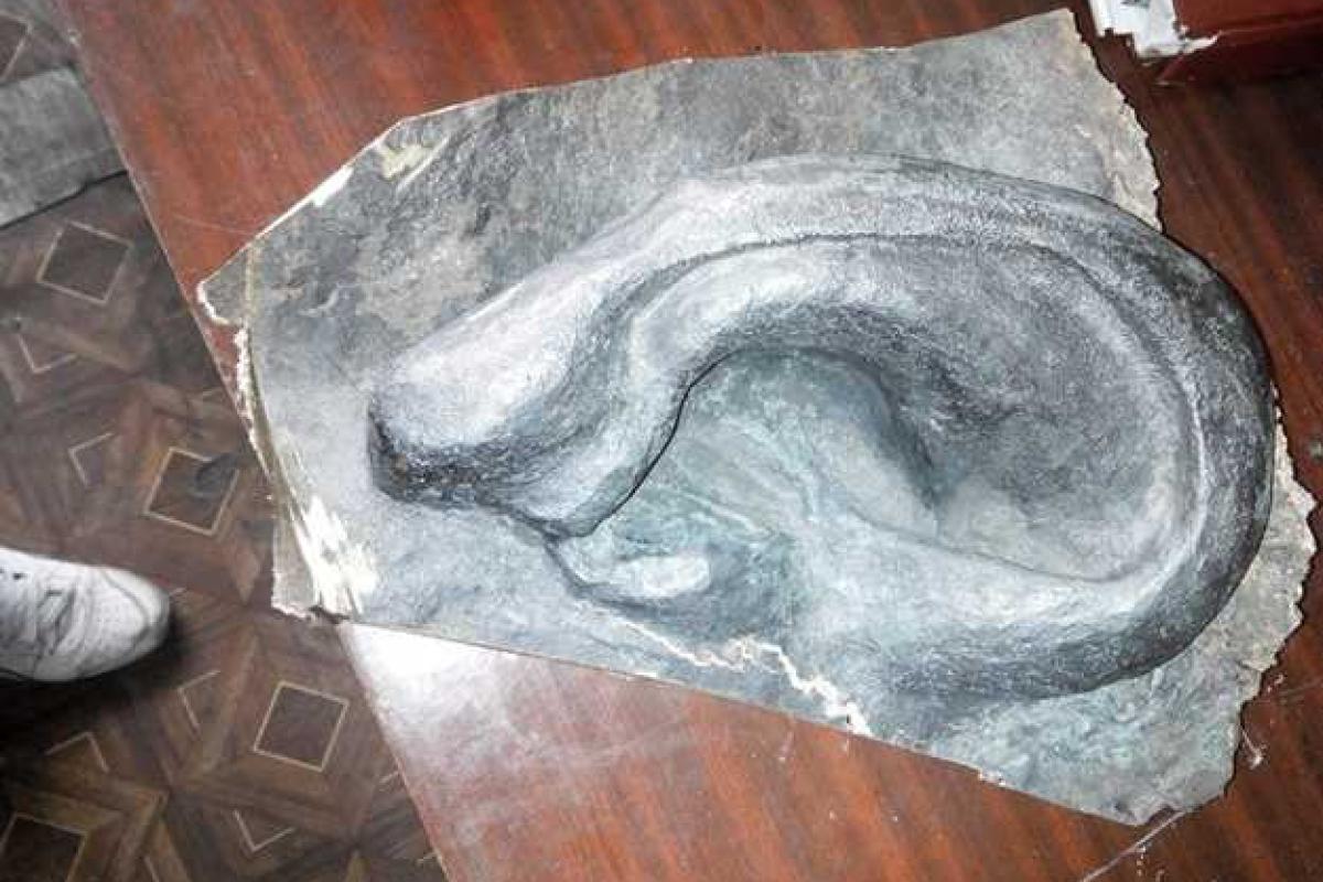 Харьковчане предложили Кернесу выкупить нос Ленина Харьковчане предложили Кернесу выкупить нос Ленина