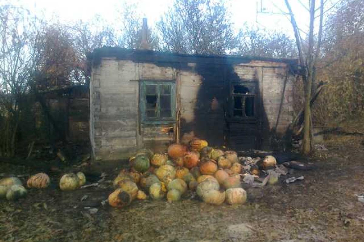 На Житомирщине во время пожара погиб человек На Житомирщине во время пожара погиб человек