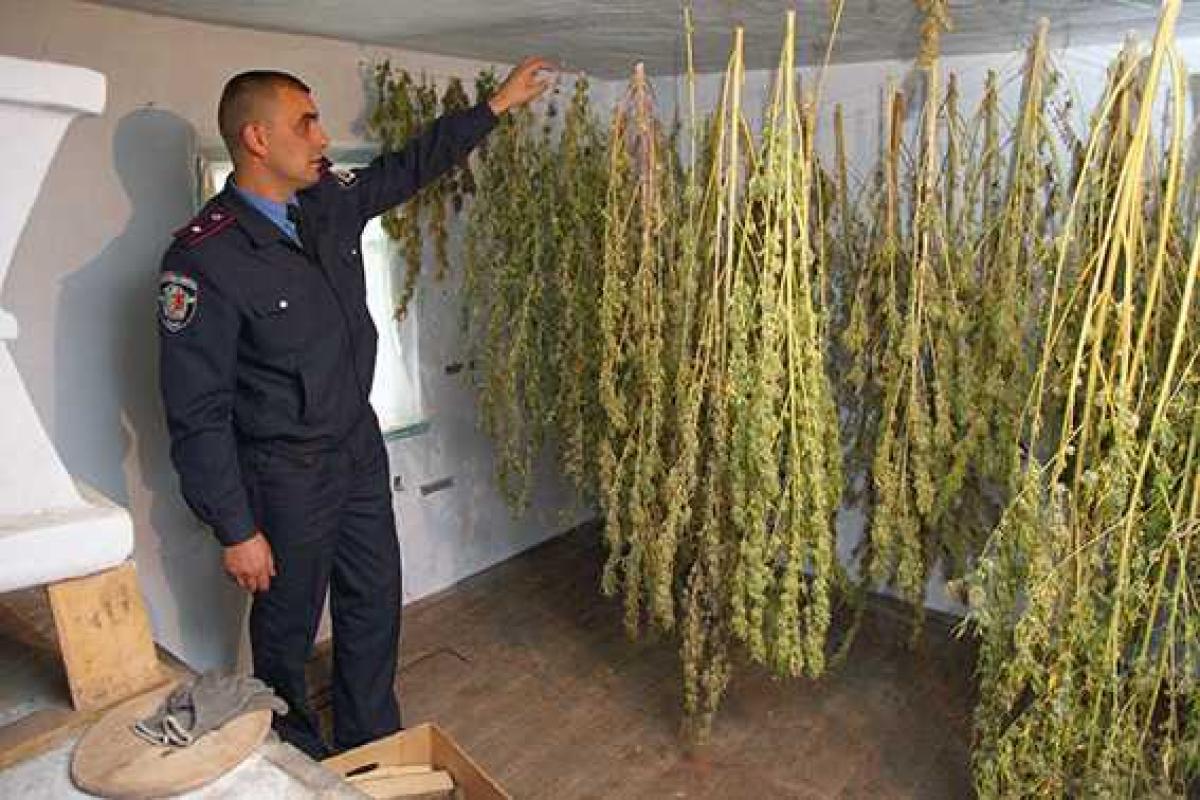 В Хмельницкой области задержан наркоман-"философ" В Хмельницкой области задержан наркоман-"философ"