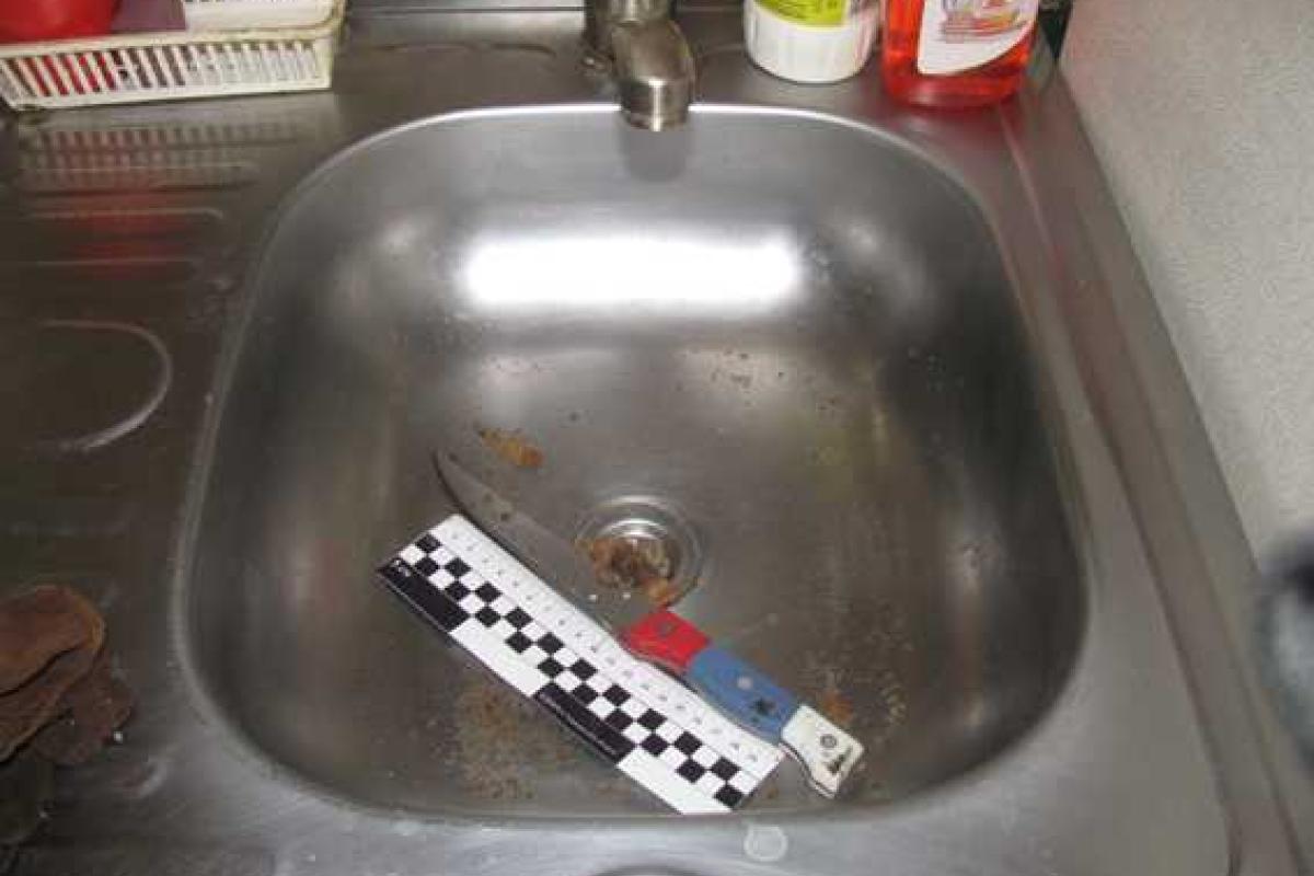 Жительница Харьковщины зарезала своего собутыльника Жительница Харьковщины зарезала своего собутыльника