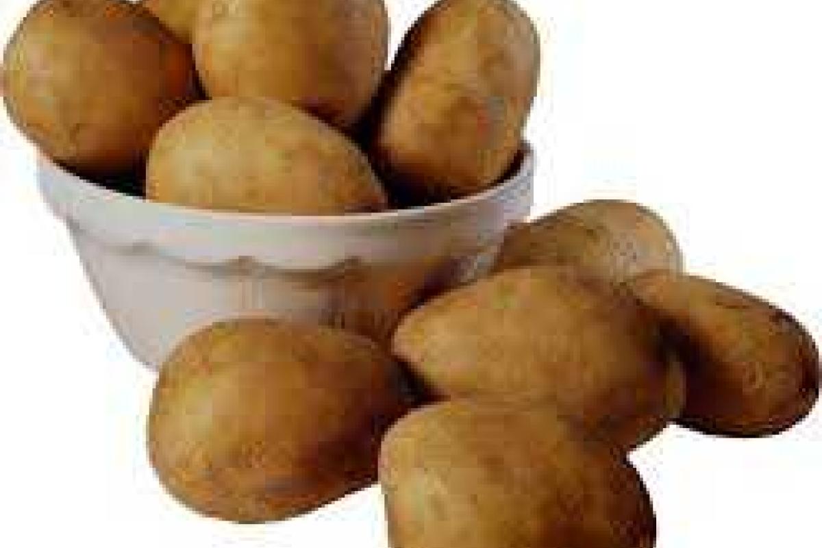 Картофель поможет похудеть - ученые Картофель поможет похудеть - ученые