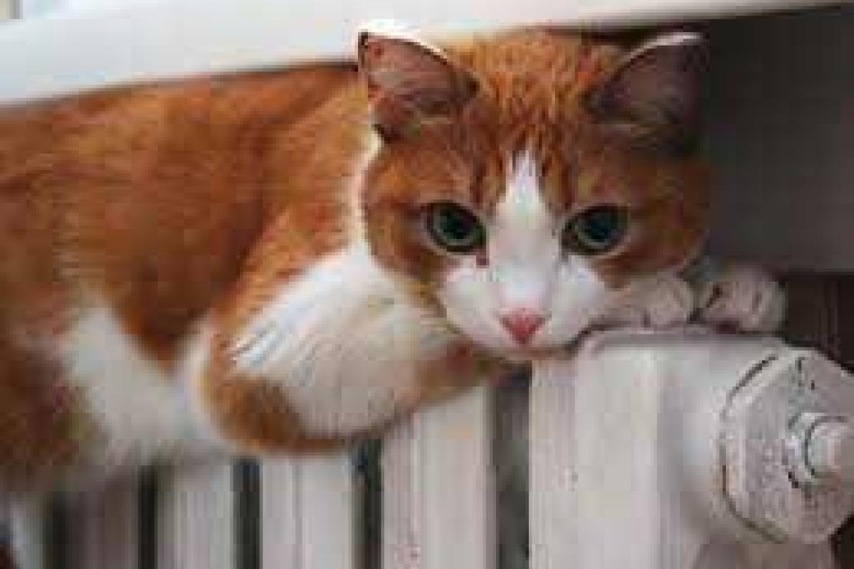 Отопительный сезон начался в Харьковской области