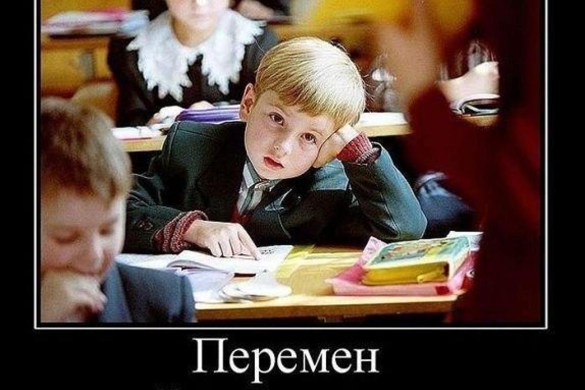 Школы хотят вернуть к 12-летнему формату обучения