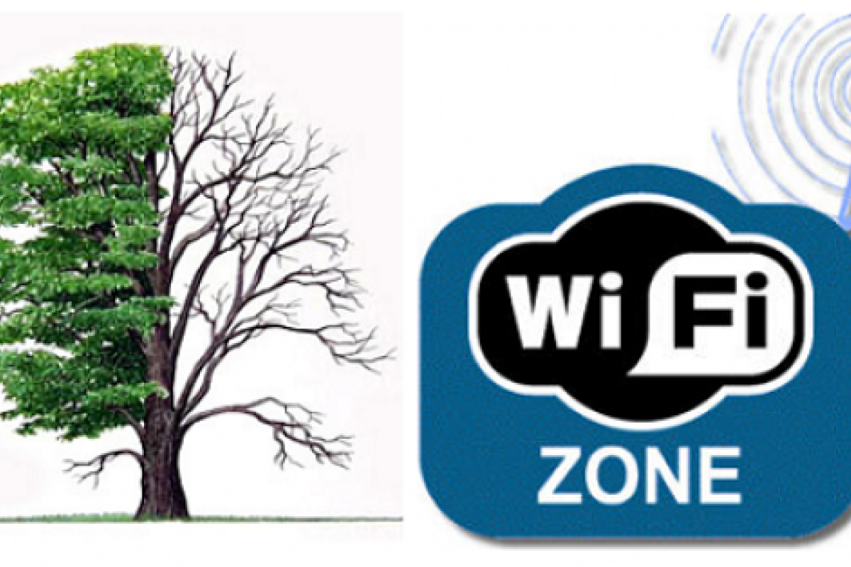 Ученые считают, что Wi-Fi-излучение может вызвать паралич Ученые считают, что Wi-Fi-излучение может вызвать паралич