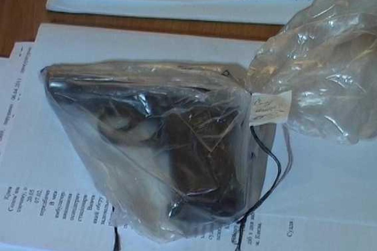Киевские студенты стали жертвами разбойного нападения Киевские студенты стали жертвами разбойного нападения