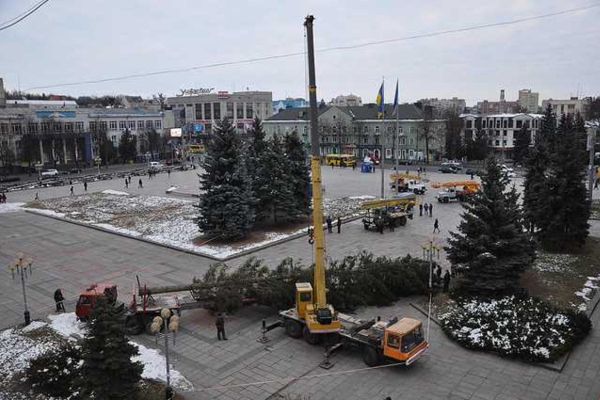 25-метровую елку привезли в Ровно 25-метровую елку привезли в Ровно