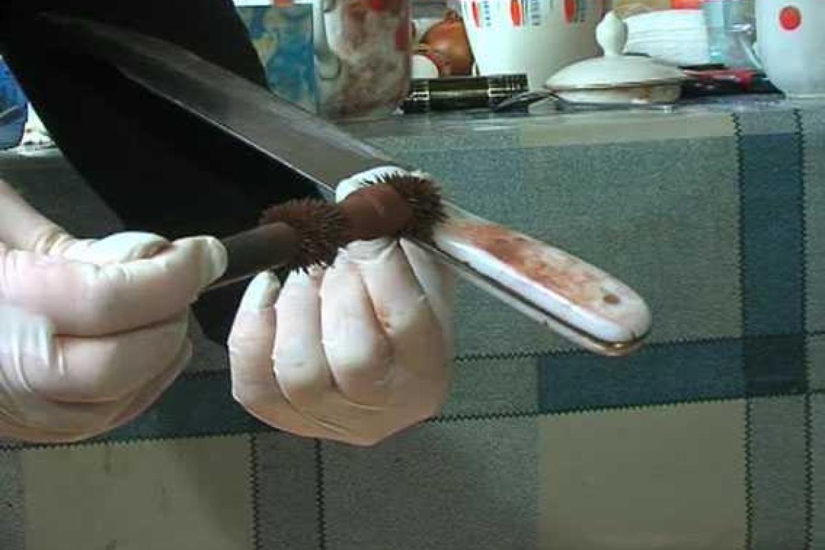 Участники группового разбойного нападения "по горячему" задержаны в Мариуполе Участники группового разбойного нападения "по горячему" задержаны в Мариуполе