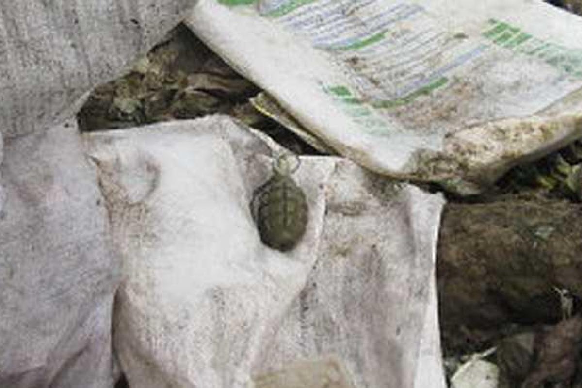 На свалке Иршавского района обнаружена граната На свалке Иршавского района обнаружена граната