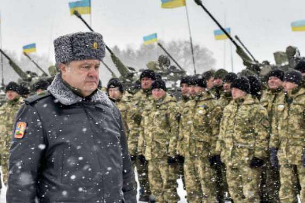 Если Порошенко не даст команды гасить террористов, ничего, кроме отвратительного позора Украина не запомнит, - волонтер Если Порошенко не даст команды гасить террористов, ничего, кроме отвратительного позора Украина не запомнит, - волонтер