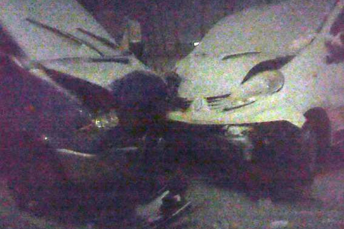 На Винничине задержан виновник ДТП, в котором пострадало три человека