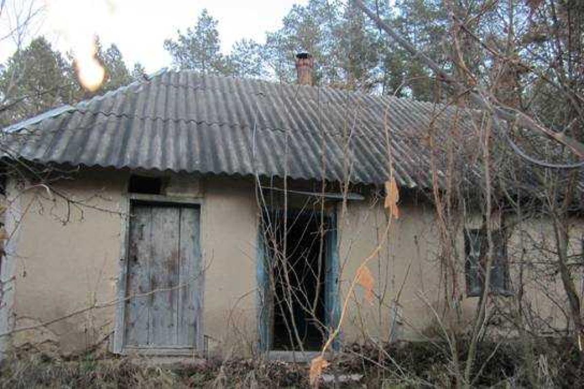 В Киевской области 33-летний отморозок изнасиловал 11-летнюю девочку В Киевской области 33-летний отморозок изнасиловал 11-летнюю девочку