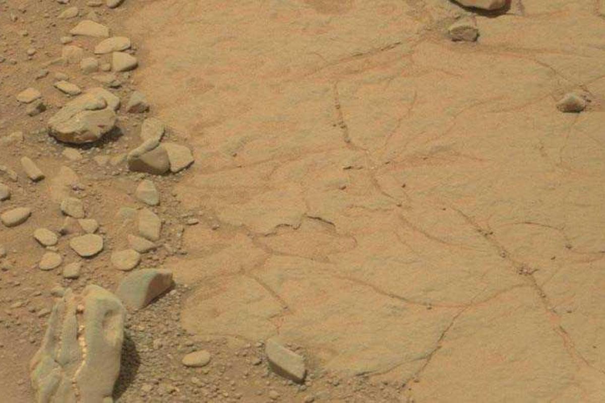 На Марсе обнаружен череп травоядного динозавра, - СМИ На Марсе обнаружен череп травоядного динозавра, - СМИ