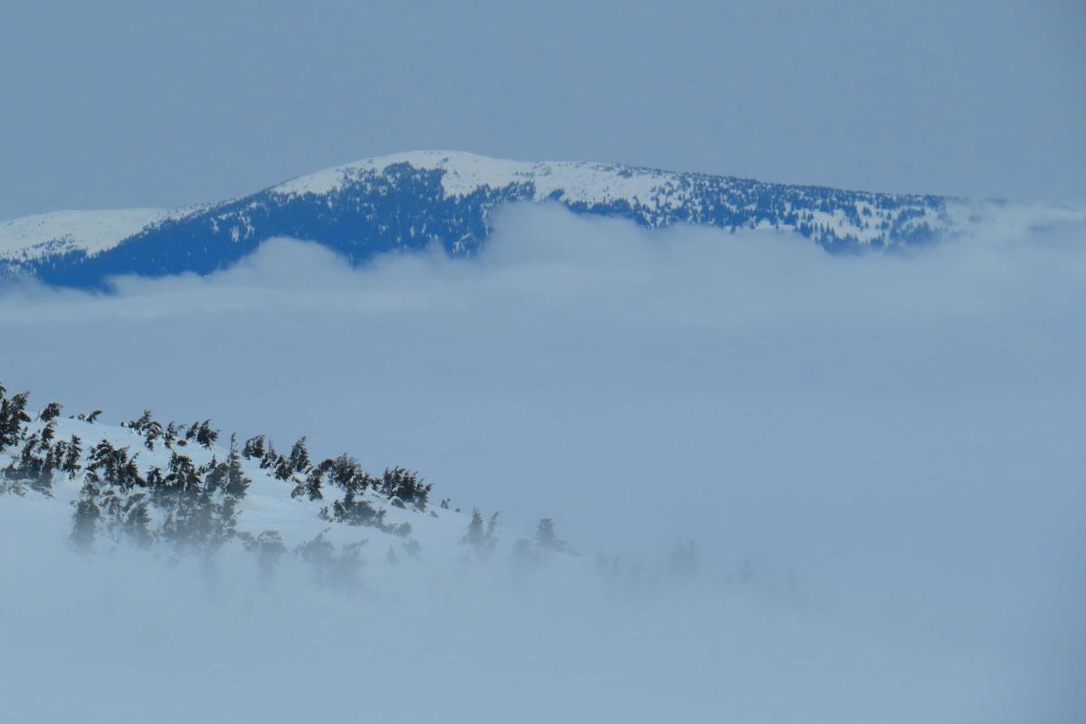 В Раховском районе горные спасатели нашли трех заблудившихся туристов В Раховском районе горные спасатели нашли трех заблудившихся туристов