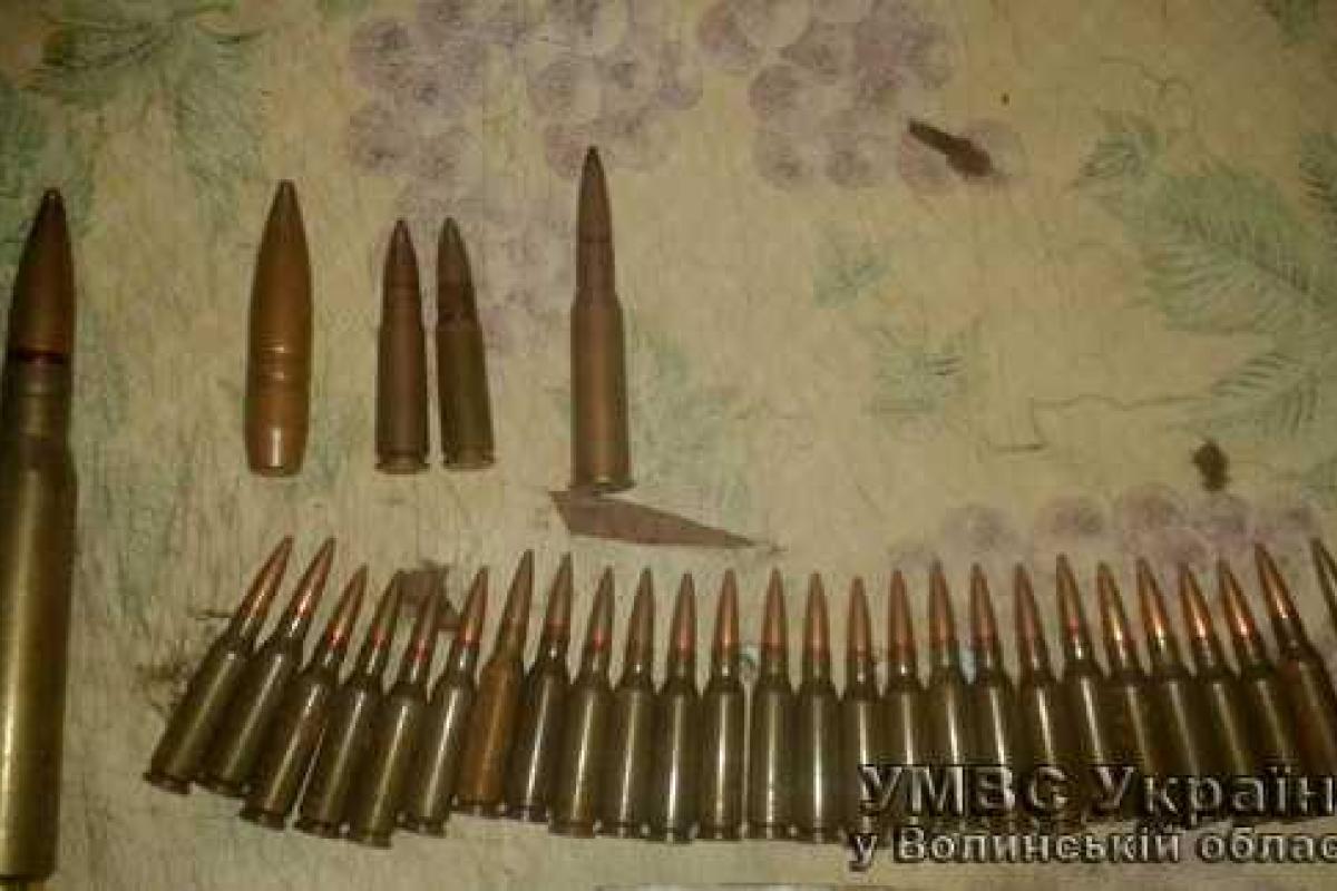У волынянина изъяли более тридцати патронов
