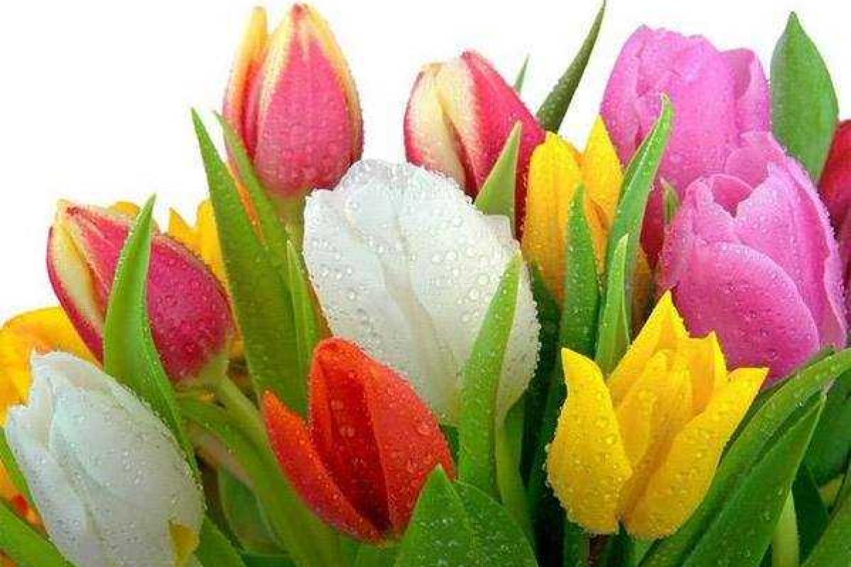 Украина отмечает Международный женский день