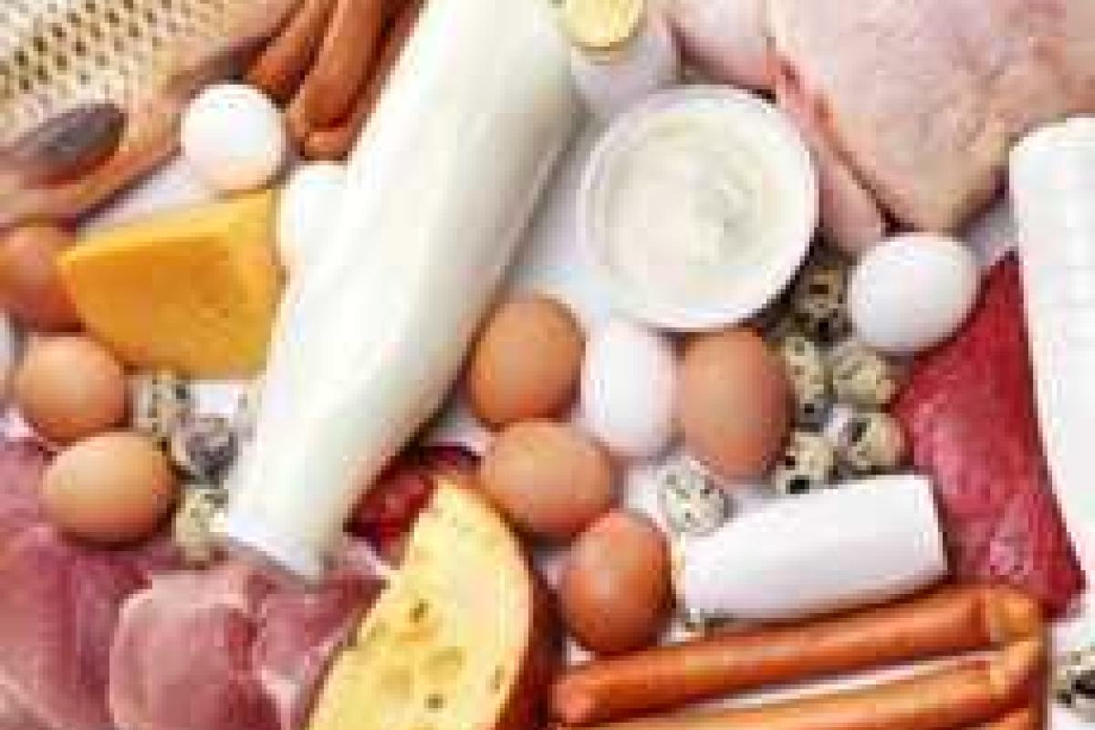 Белковая диета также вредна, как курение Белковая диета также вредна, как курение