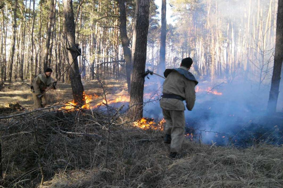 На Полтавщине пожарные спасли от огня 250 га леса На Полтавщине пожарные спасли от огня 250 га леса
