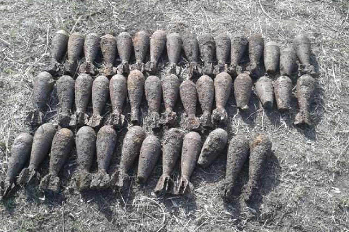 На Харьковщине выявлено около 3000 единиц устаревших боеприпасов На Харьковщине выявлено около 3000 единиц устаревших боеприпасов