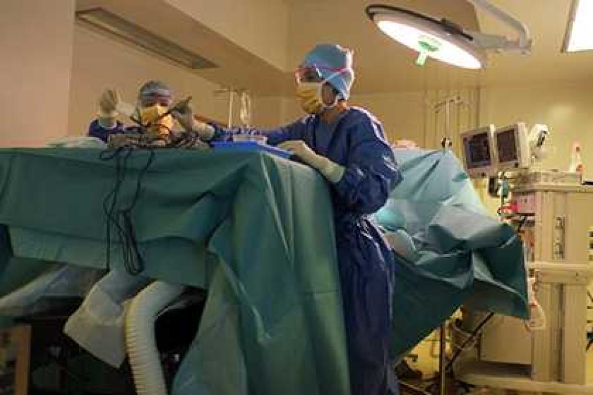 Впервые проведена успешная операция по пересадке пениса Впервые проведена успешная операция по пересадке пениса