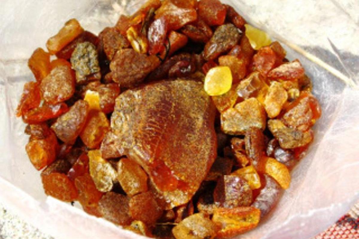 Полтора килограмма солнечного камня перевозил житель Ракитного Полтора килограмма солнечного камня перевозил житель Ракитного