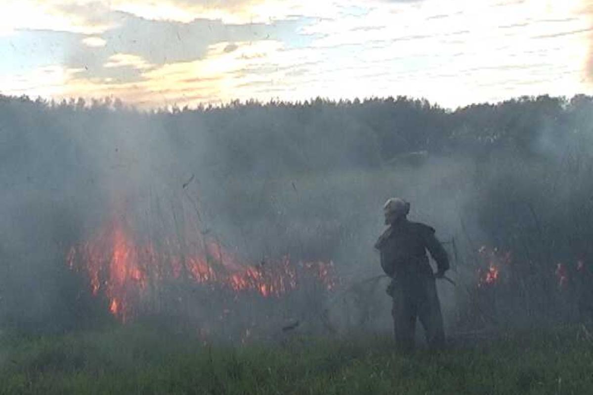 В Харьковской области за сутки ликвидировано 11 пожаров в экосистемах