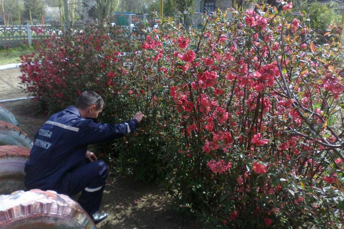 На Херсонщине возле школы отловили степную гадюку На Херсонщине возле школы отловили степную гадюку