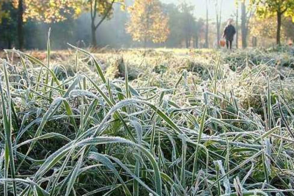 Укргидрометцентр прогнозирует порывы ветра и заморозки Укргидрометцентр прогнозирует порывы ветра и заморозки