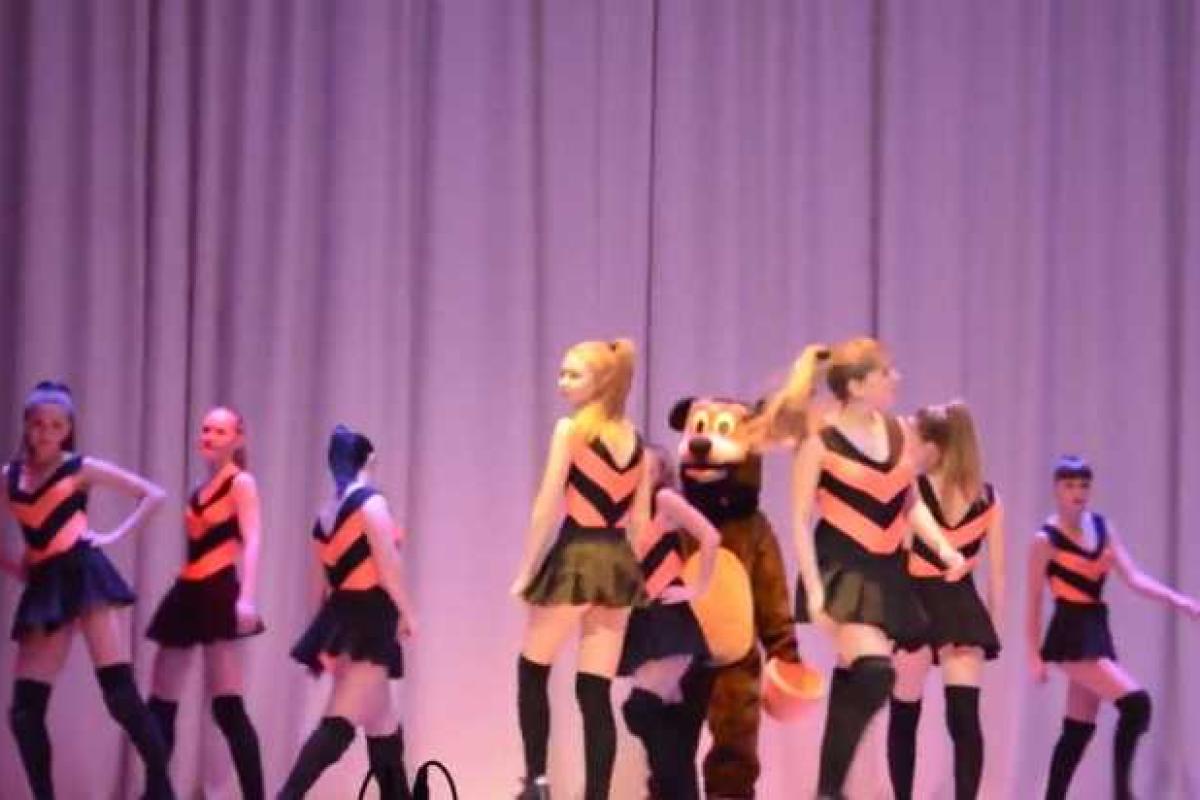 СК проверит скандальный танец российских «пчелок»
