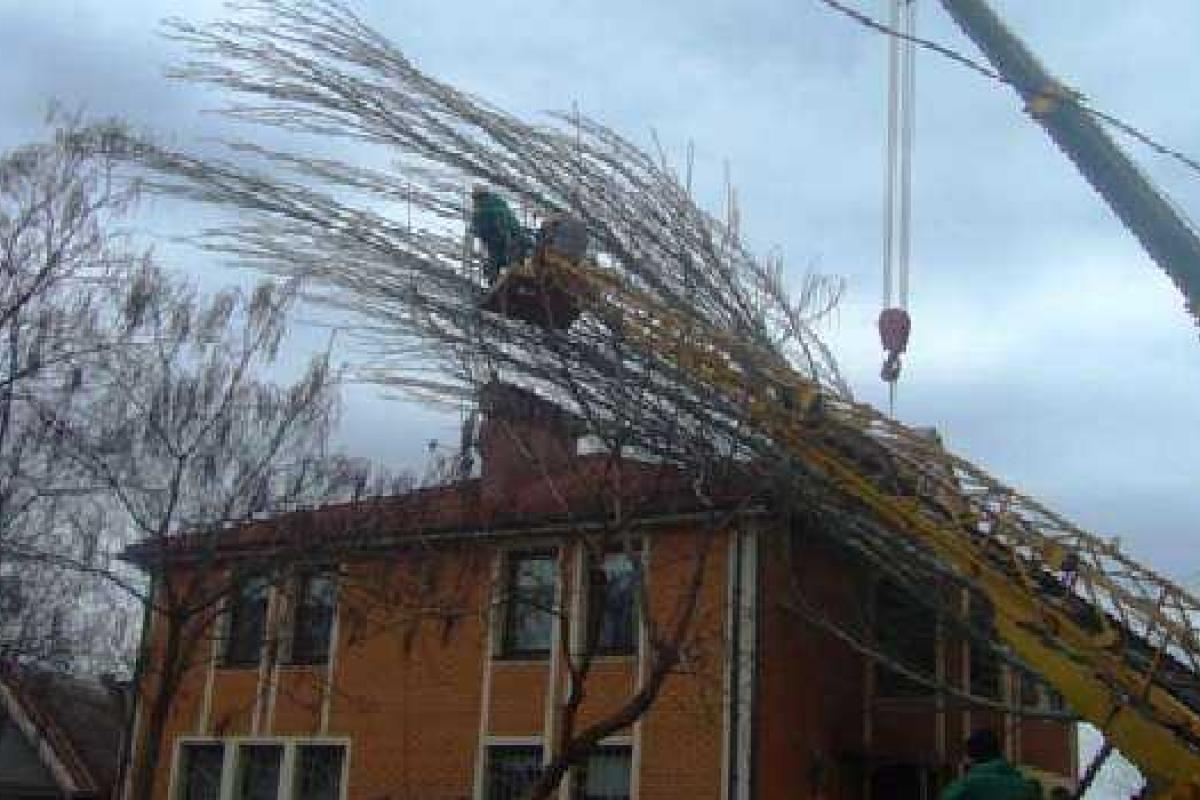 После непогоды в Одессе расчистили завалы