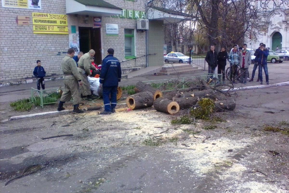 На Киевщине из-за непогоды дерево упало на автомобиль На Киевщине из-за непогоды дерево упало на автомобиль