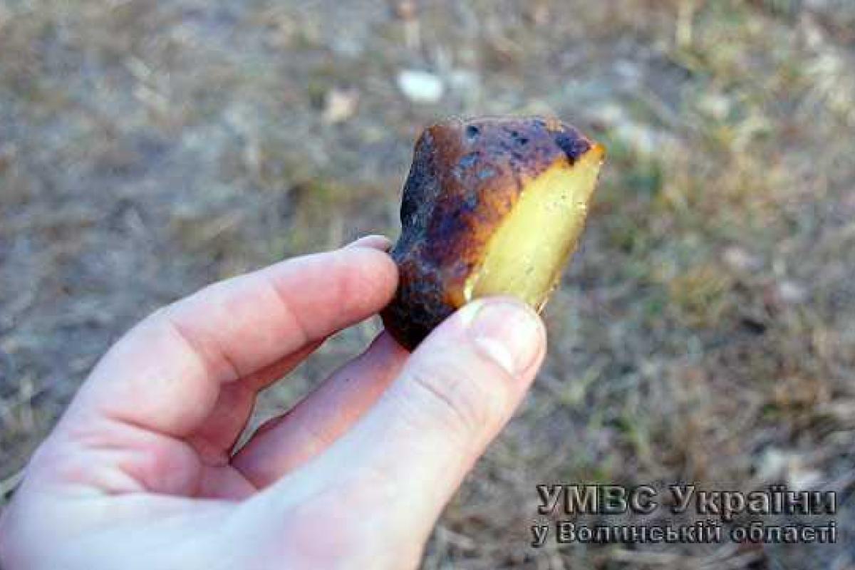 На Волыни задержали группу людей, которые добывали янтарь-сырец