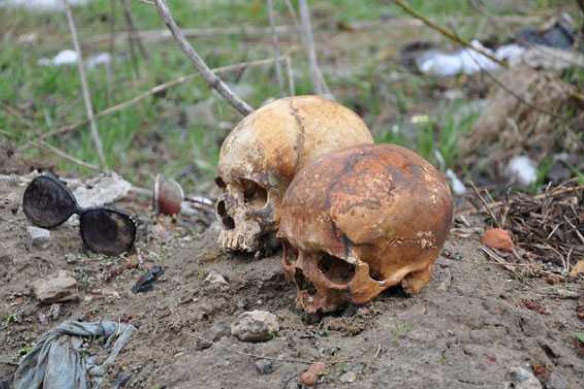 В Сумах на воротах автокооператива циничный хулиган повесил два человеческих черепа в солнцезащитных очках