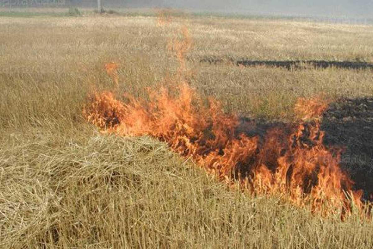 На Винничине в результате возгорания сухой травы, погиб 62-летний мужчина На Винничине в результате возгорания сухой травы, погиб 62-летний мужчина