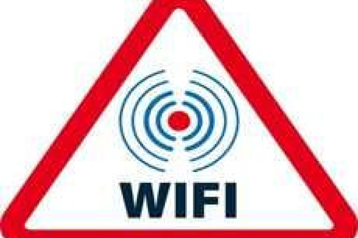 Wi-Fi плохо влияет на людей и растения Wi-Fi плохо влияет на людей и растения