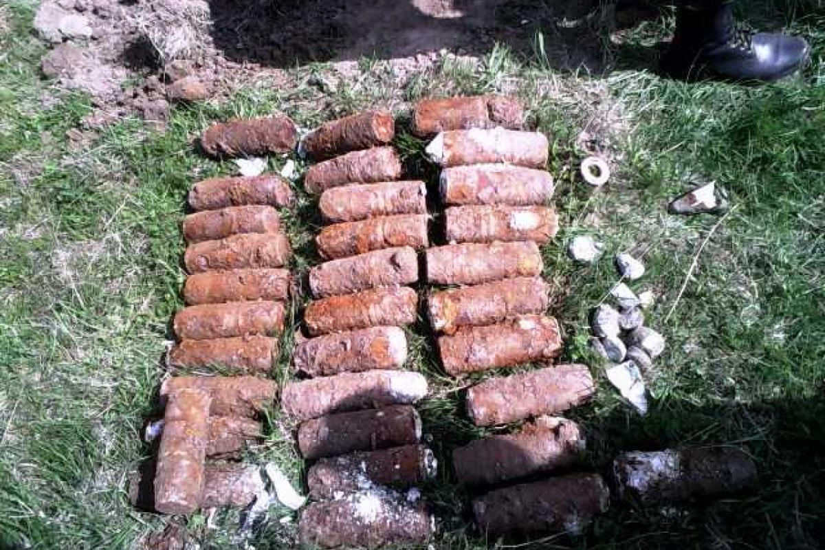 На Житомирщине мужчина искал старинные монеты, а нашел боеприпасы времен войны На Житомирщине мужчина искал старинные монеты, а нашел боеприпасы времен войны
