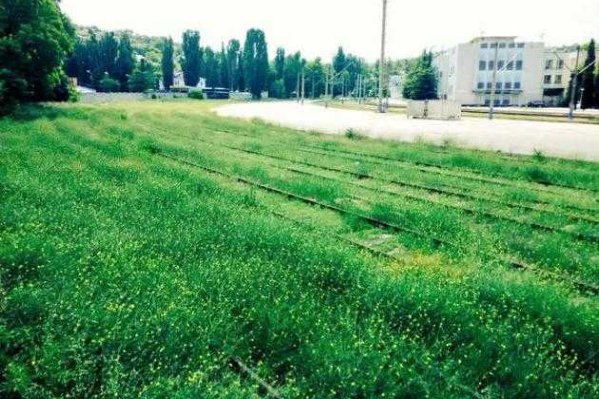 Железная дорога в Крыму зарастает травой