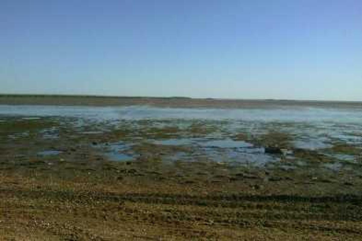 В Мариуполе море отошло от берега