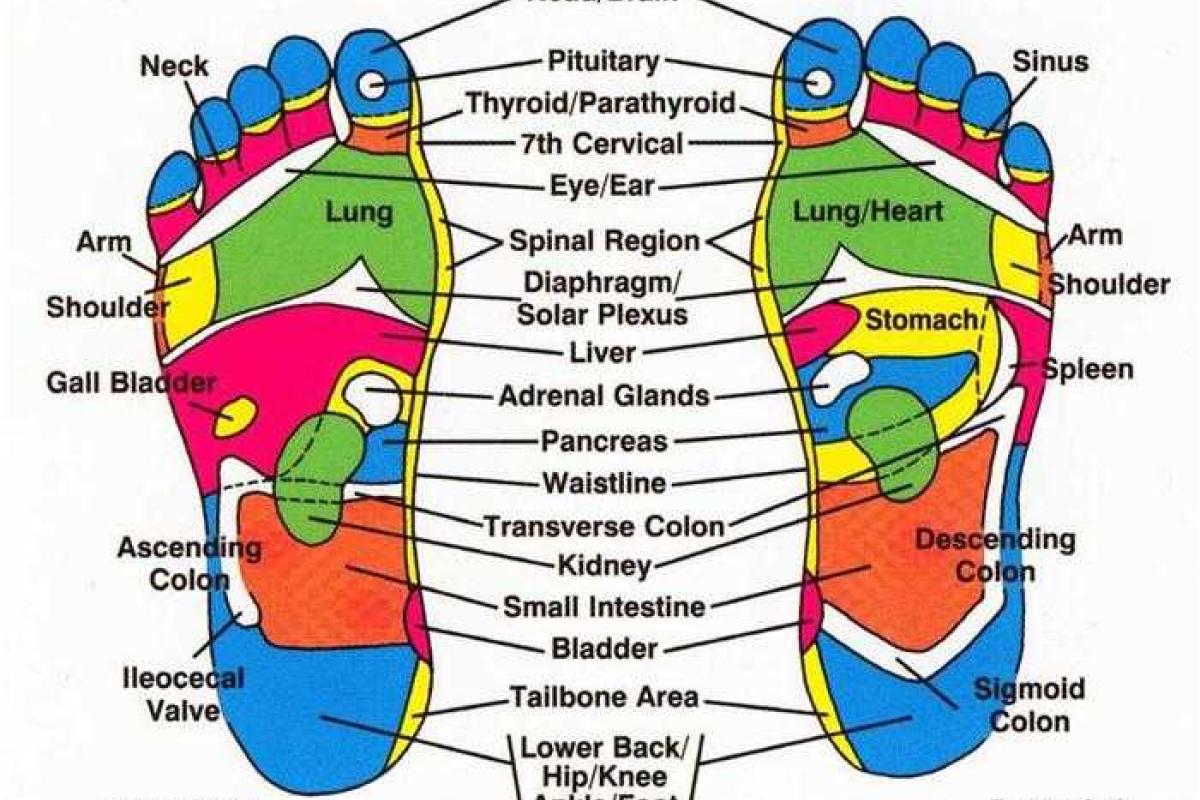 Лук в носках может изменить вашу жизнь Лук в носках может изменить вашу жизнь