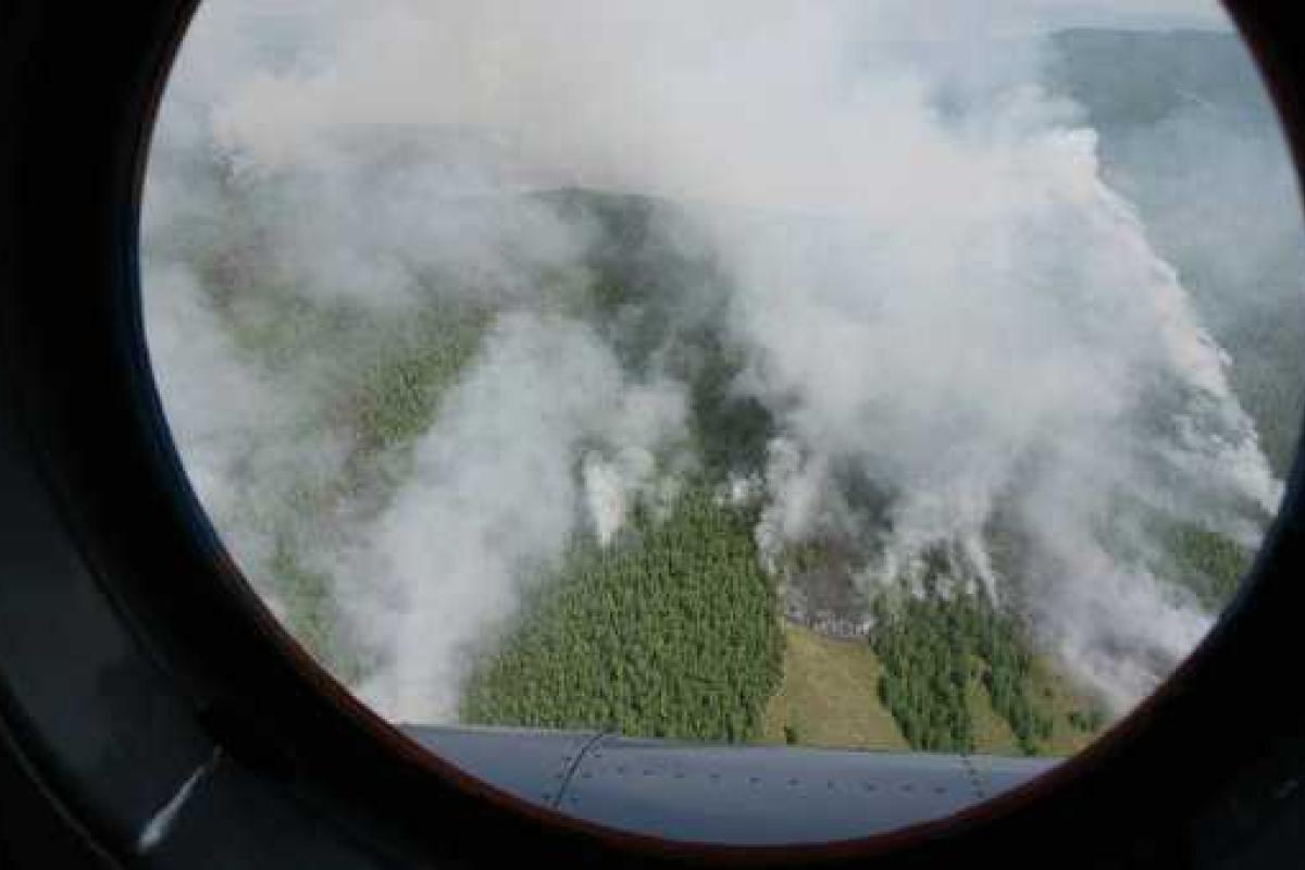 Россия снова в огне: в Туве из-за лесных пожаров объявлена чрезвычайная ситуация