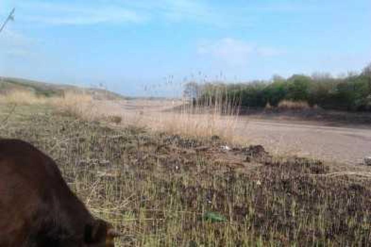 В «ЛНР» исчез ставок В «ЛНР» исчез ставок