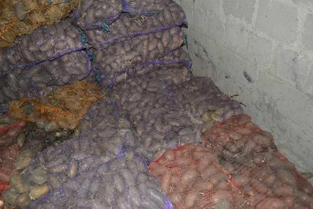 Сообщение о том, что военнослужащих кормят гнилой картошкой, - ложное Сообщение о том, что военнослужащих кормят гнилой картошкой, - ложное