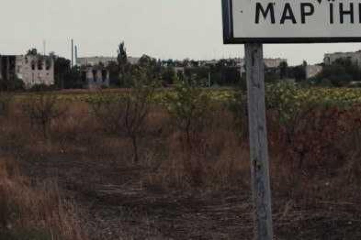 Порошенко: В Марьинке задержали 12 диверсантов