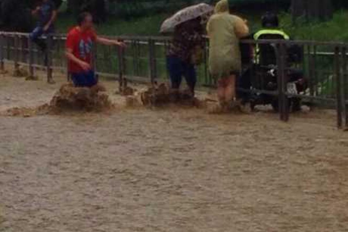 Потоп в Сочи: парализовано движение поездов, не работает аэропорт, город уходит под воду