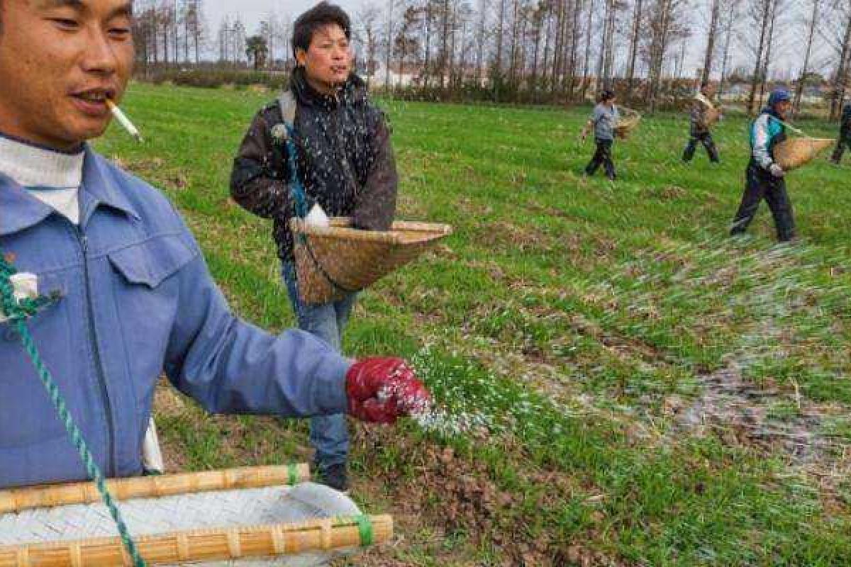 Россияне испугались, что Забайкалье станет частью Китайской республики