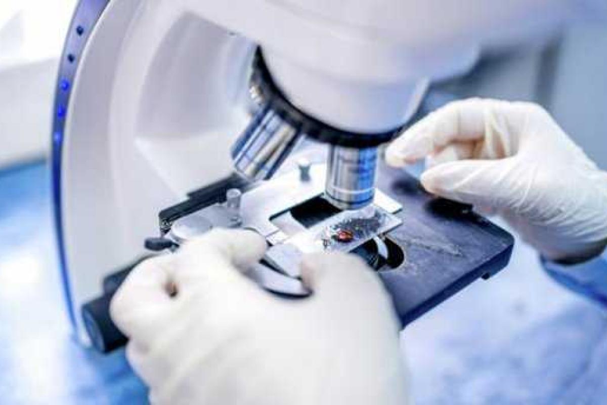 Японские ученые научились выявлять рак на ранней стадии за 3 минуты Японские ученые научились выявлять рак на ранней стадии за 3 минуты