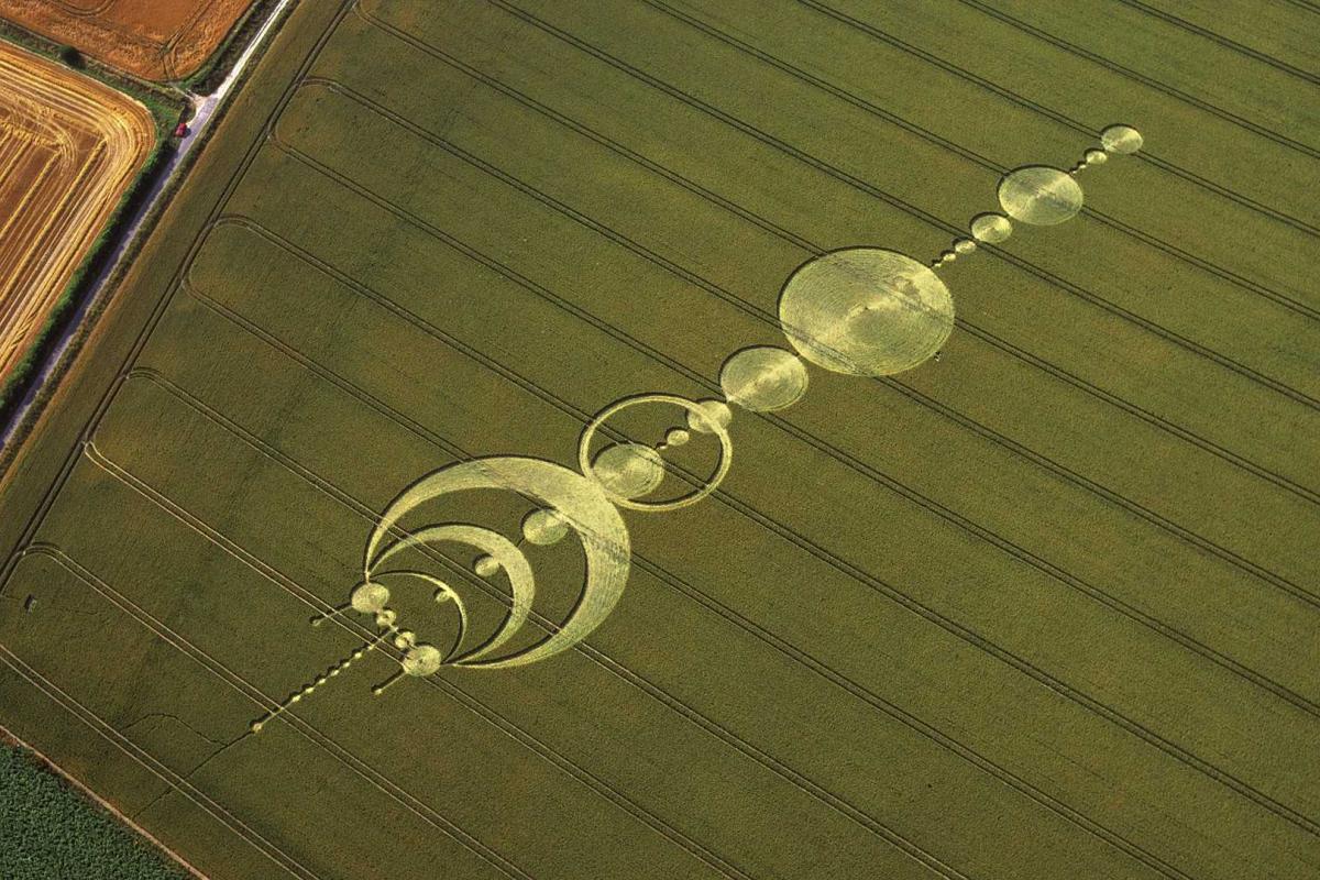 В России появились круги на полях В России появились круги на полях