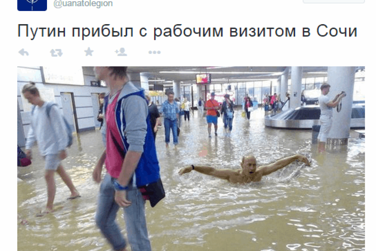Сеть взорвали фотожабы из-за потопа в Сочи