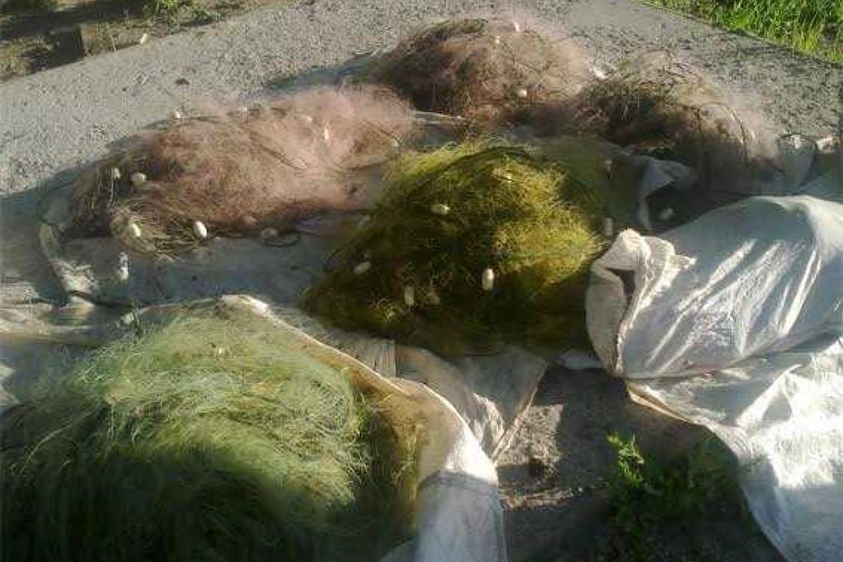 Двое мужчин разоблачены в браконьерстве на Кировоградщине Двое мужчин разоблачены в браконьерстве на Кировоградщине