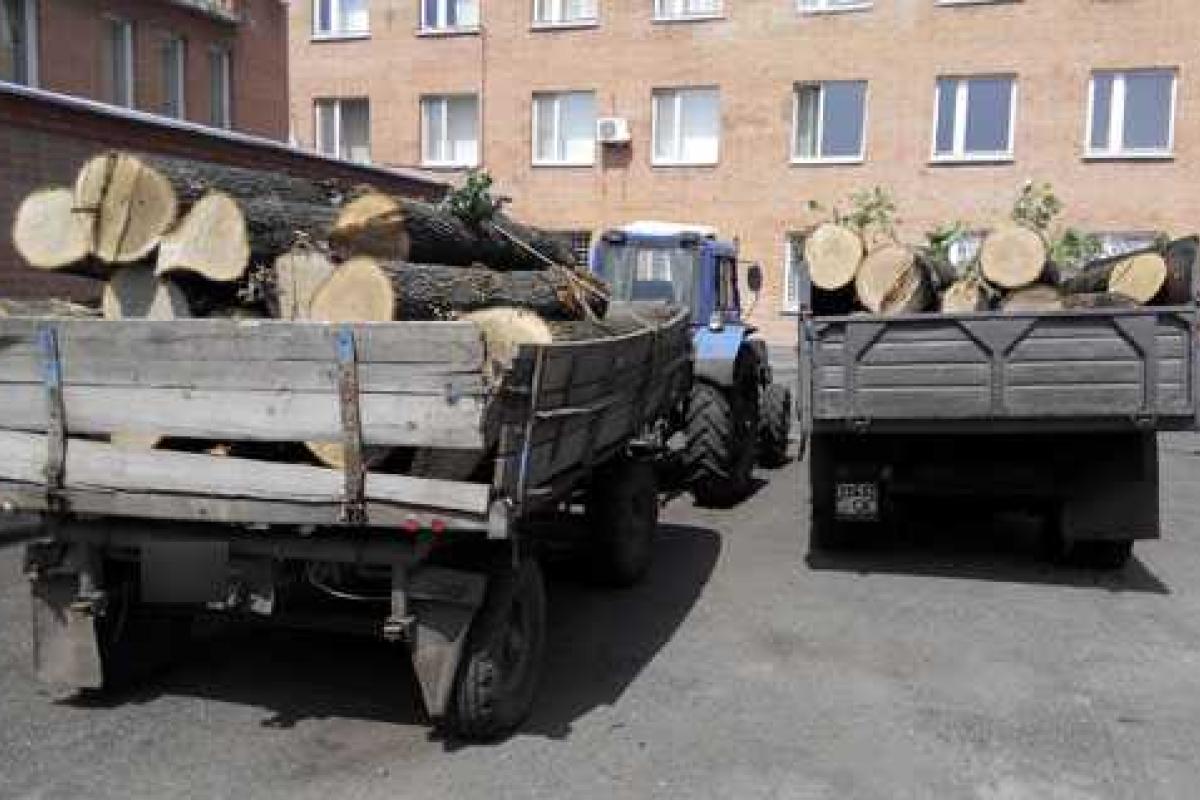 На Полтавщине задержан незаконный лесоруб На Полтавщине задержан незаконный лесоруб