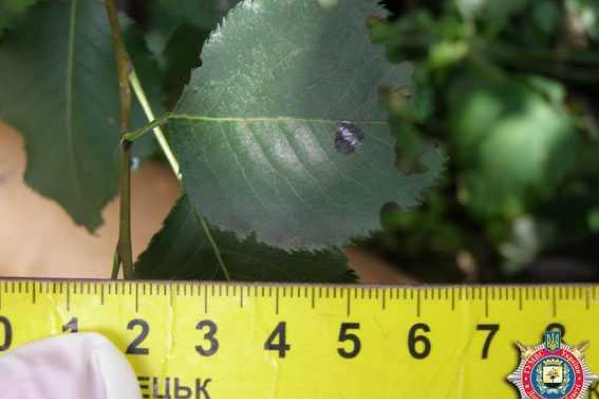 В Константиновке мужчина зарезал своего знакомого